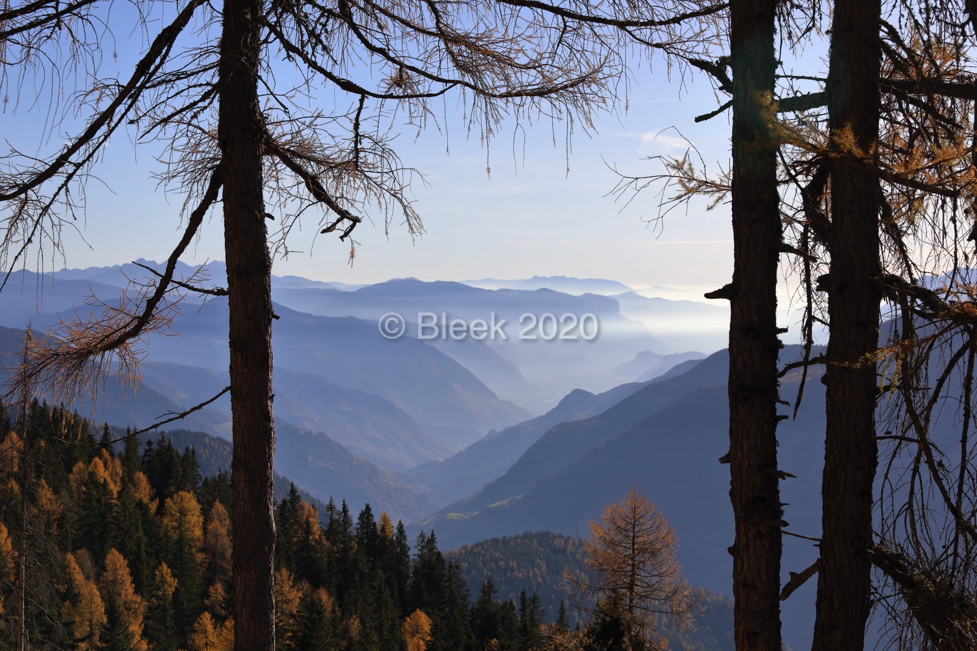 7Y1A0394n1920_wm_2020