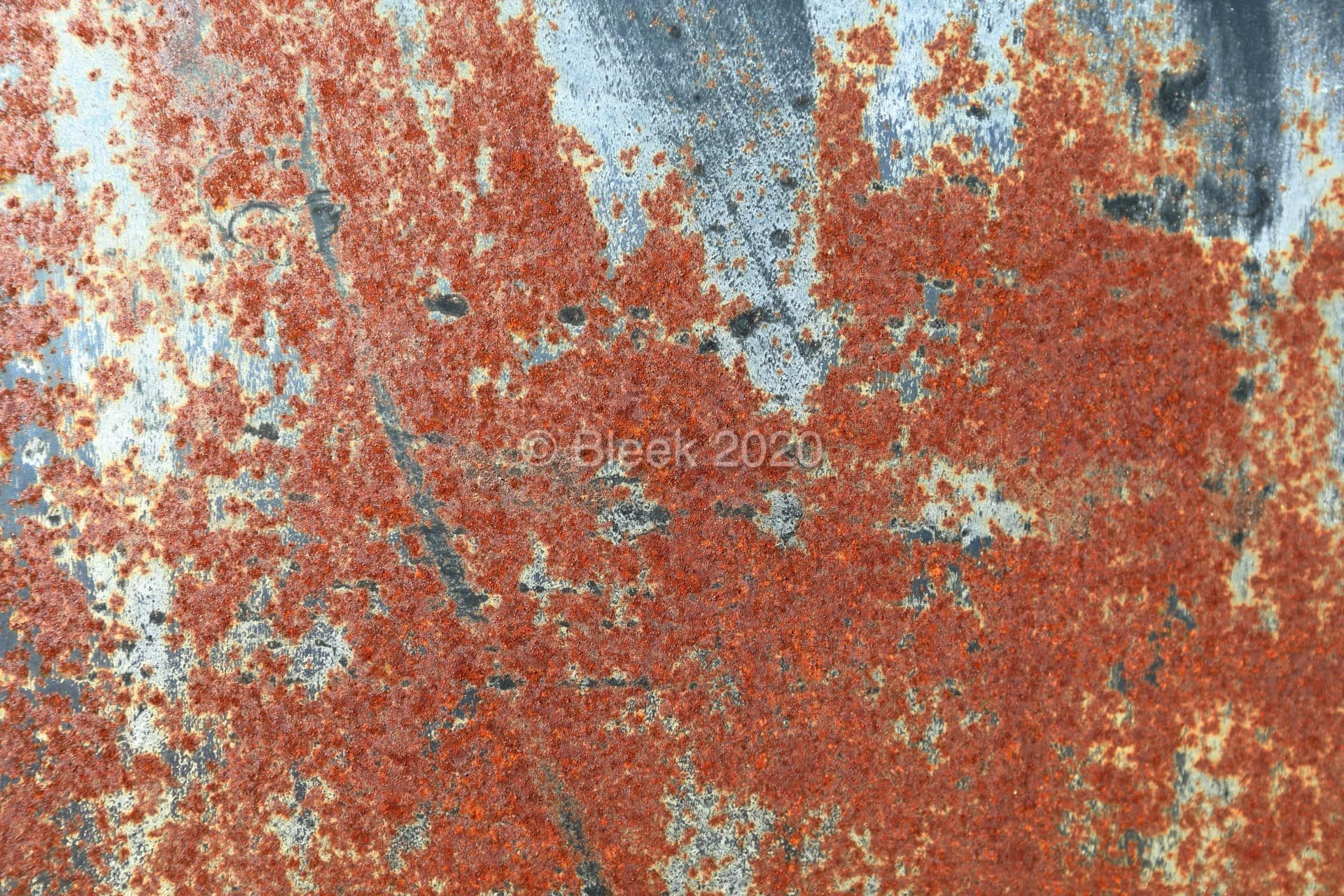 7Y1A0554n1920_wm_2020