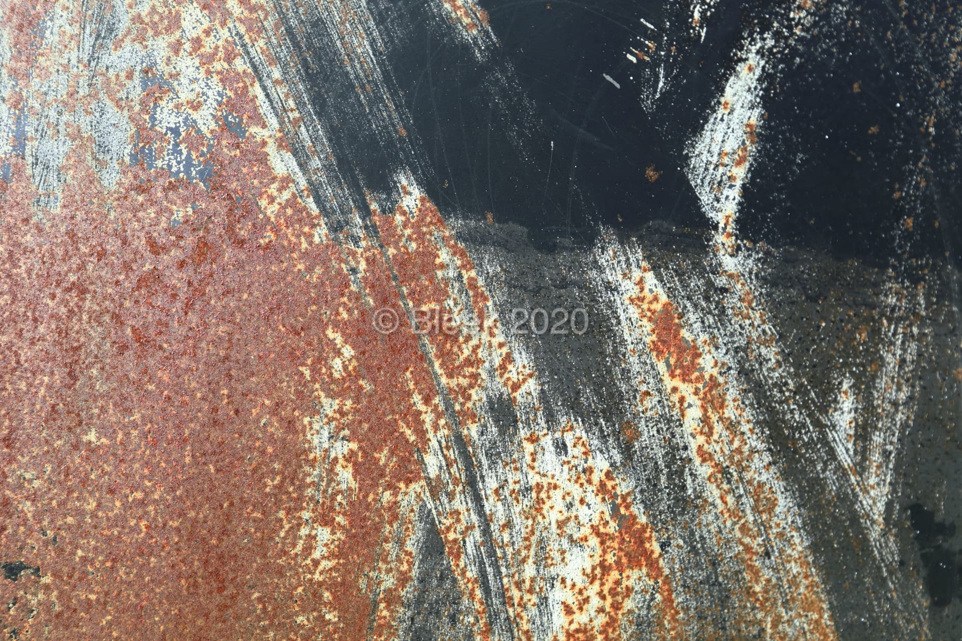 7Y1A0555n1920_wm_2020