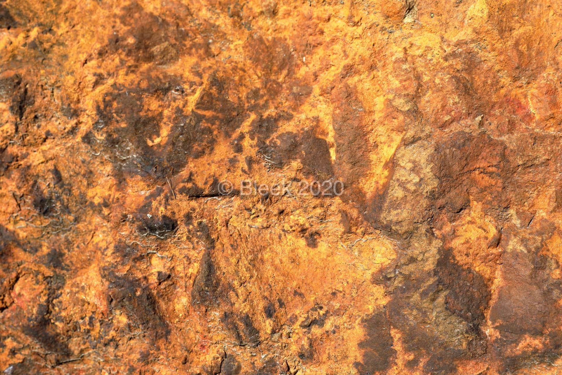 7Y1A0578n1920_wm_2020