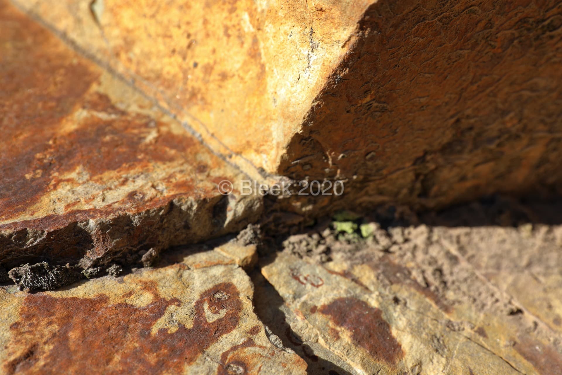 7Y1A0579n1920_wm_2020