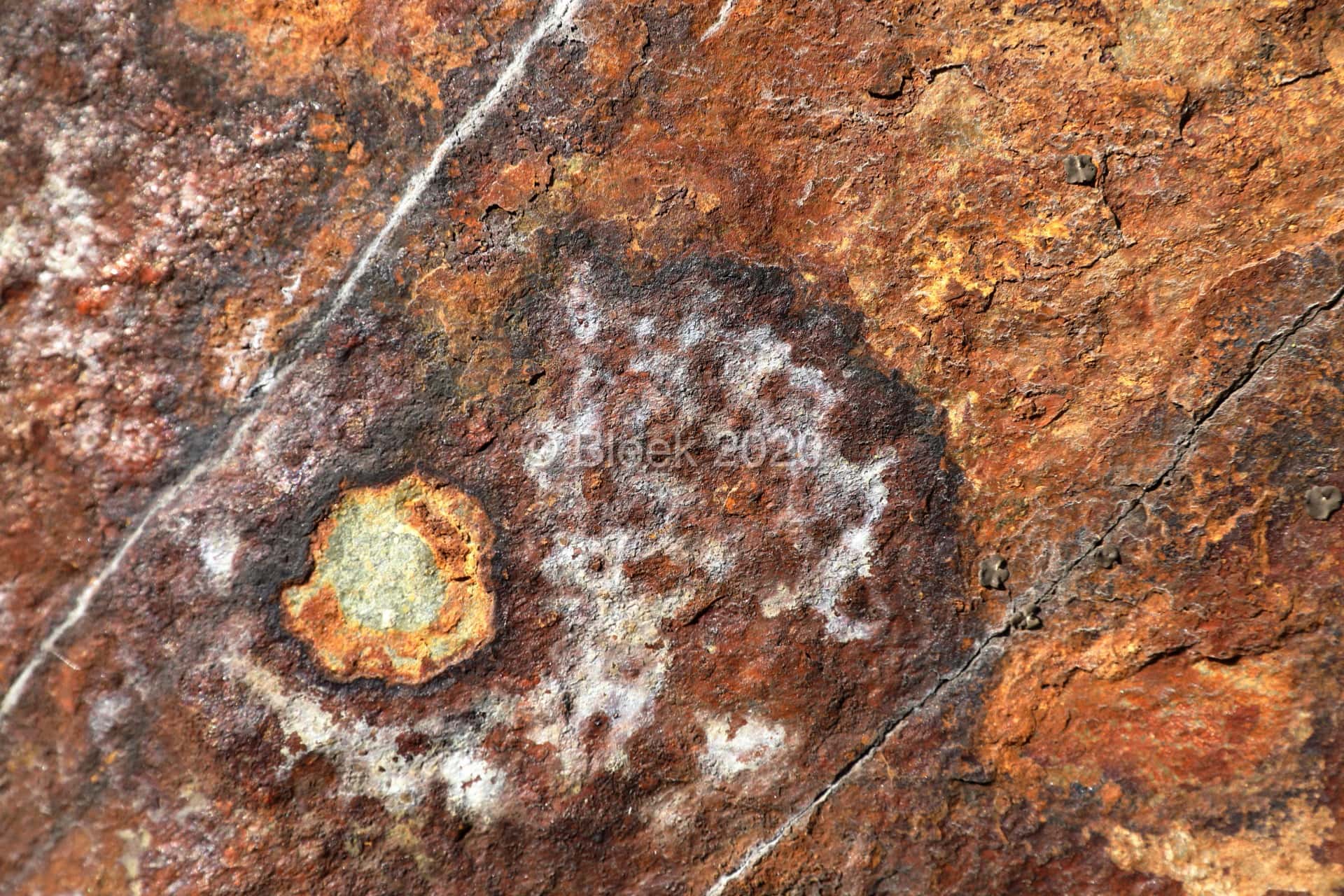 7Y1A0584n1920_wm_2020