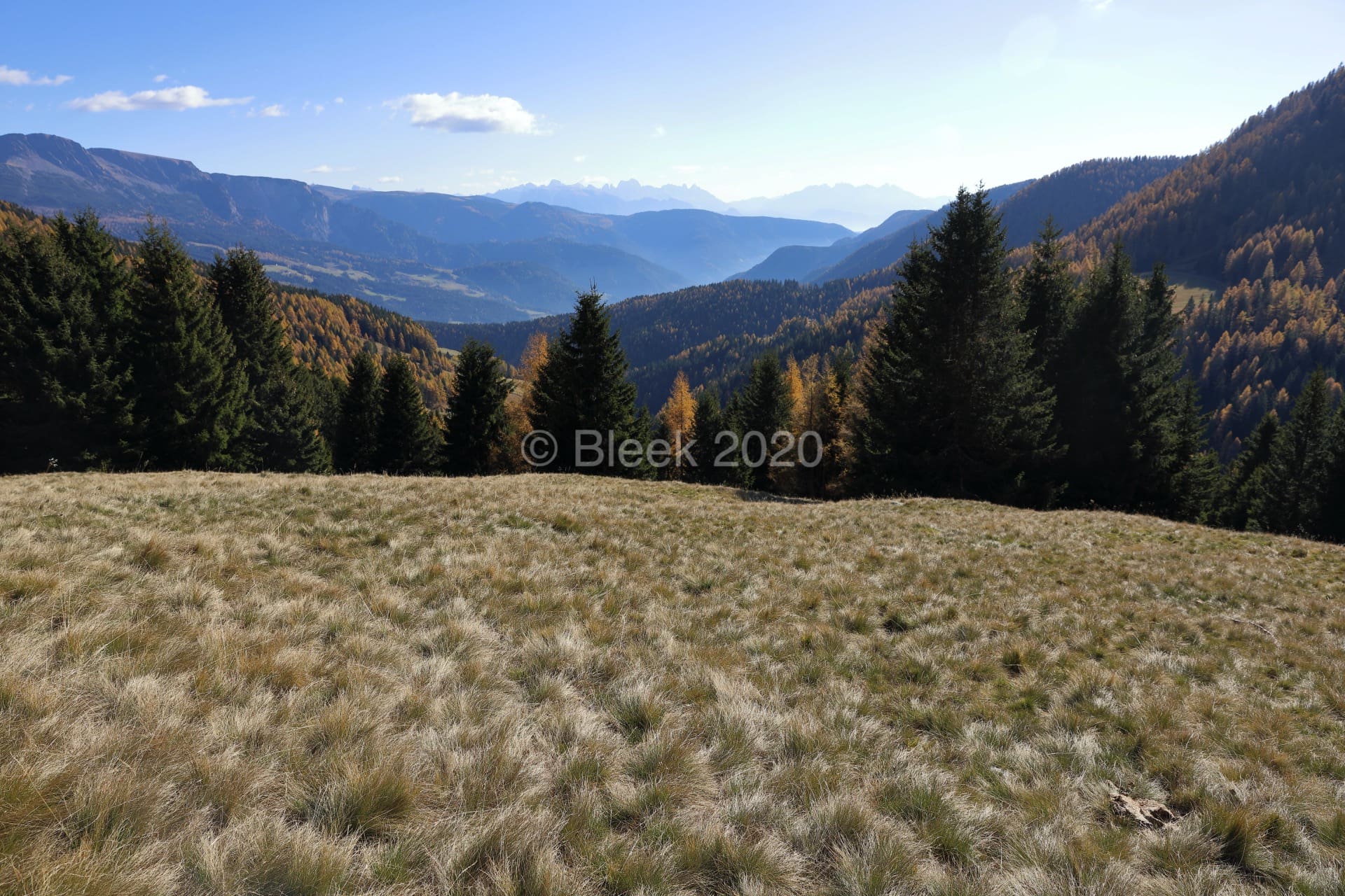 7Y1A0590n1920_wm_2020