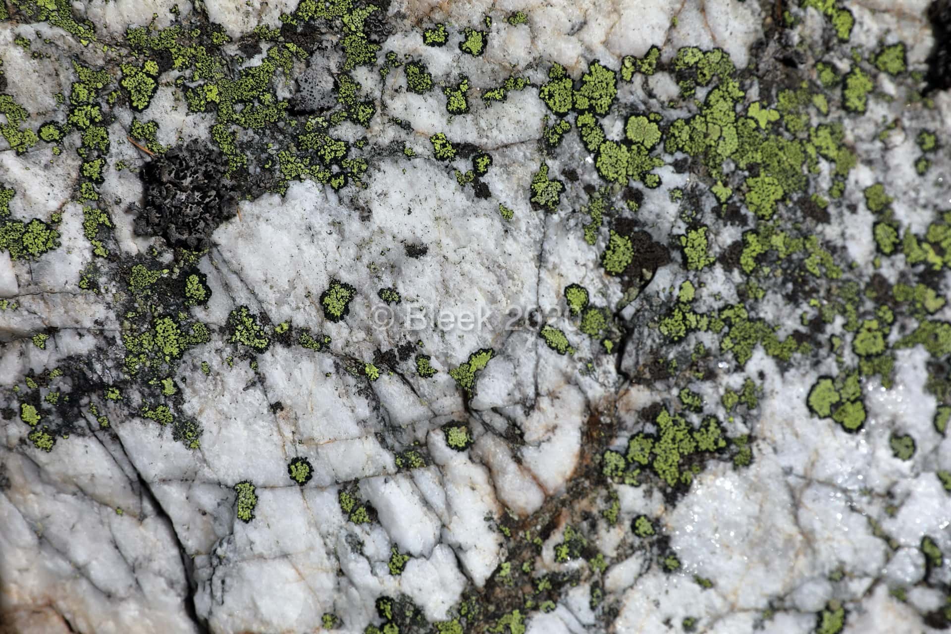 7Y1A0601n1920_wm_2020