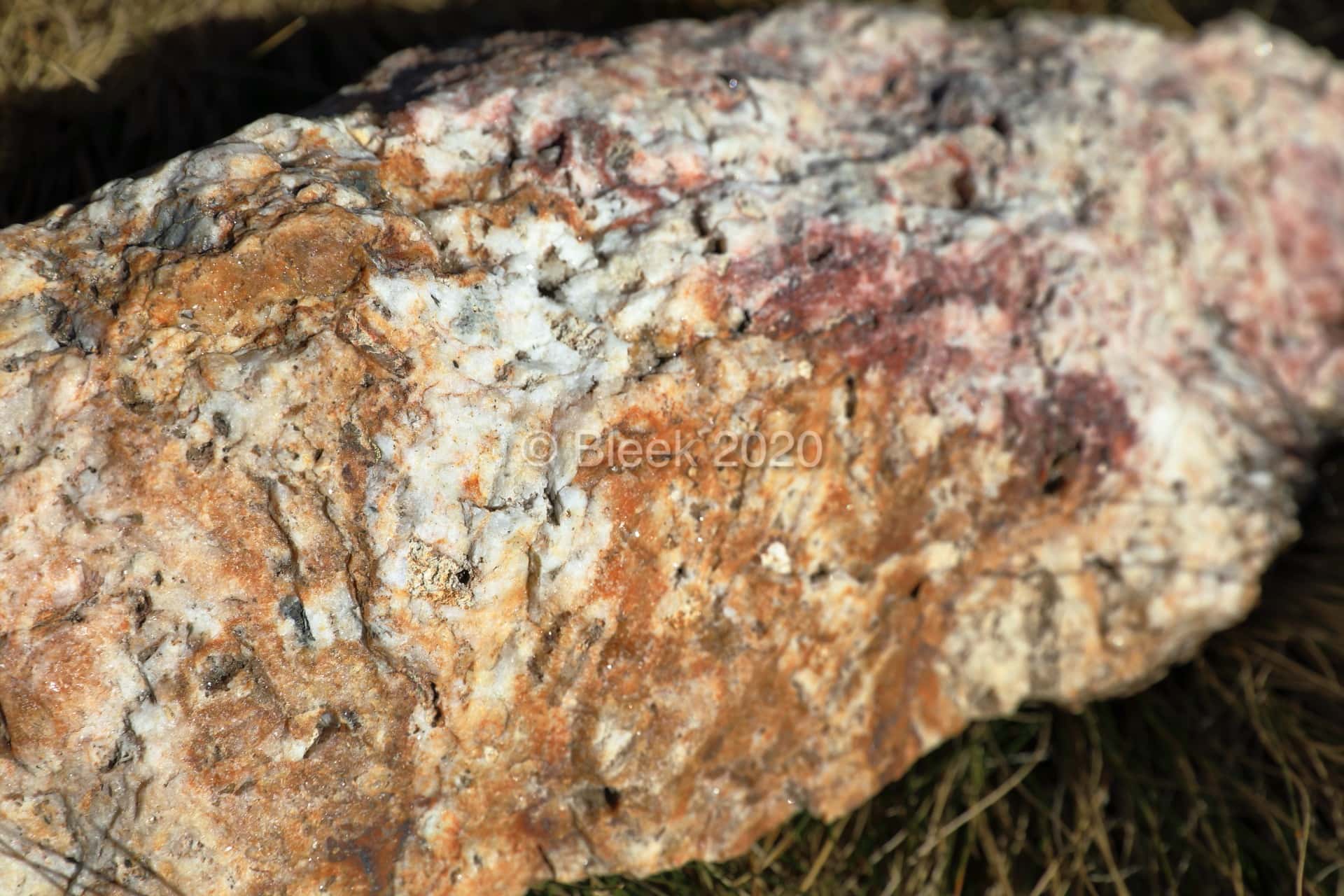 7Y1A0621n1920_wm_2020