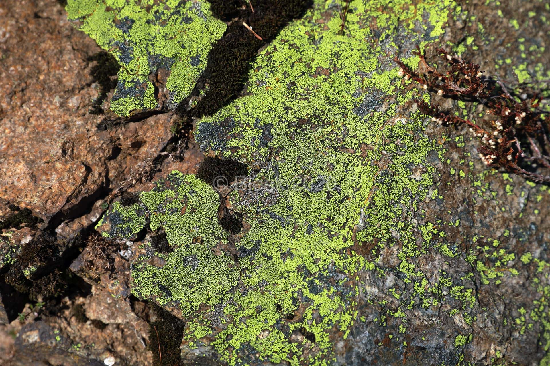 7Y1A0624n1920_wm_2020