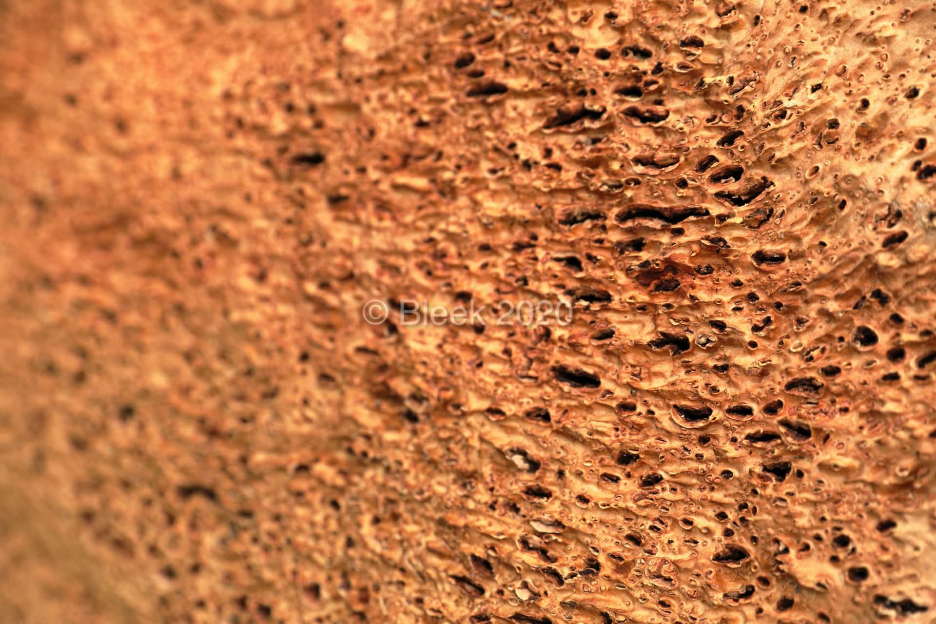 7Y1A3366n1920_wm_2020