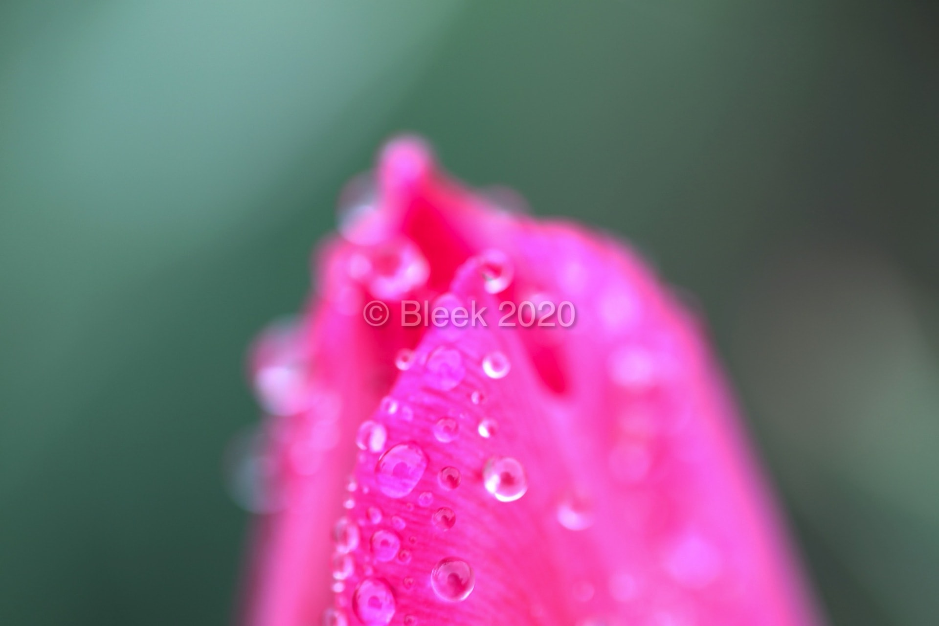 7Y1A5580ns2k_wm_2020