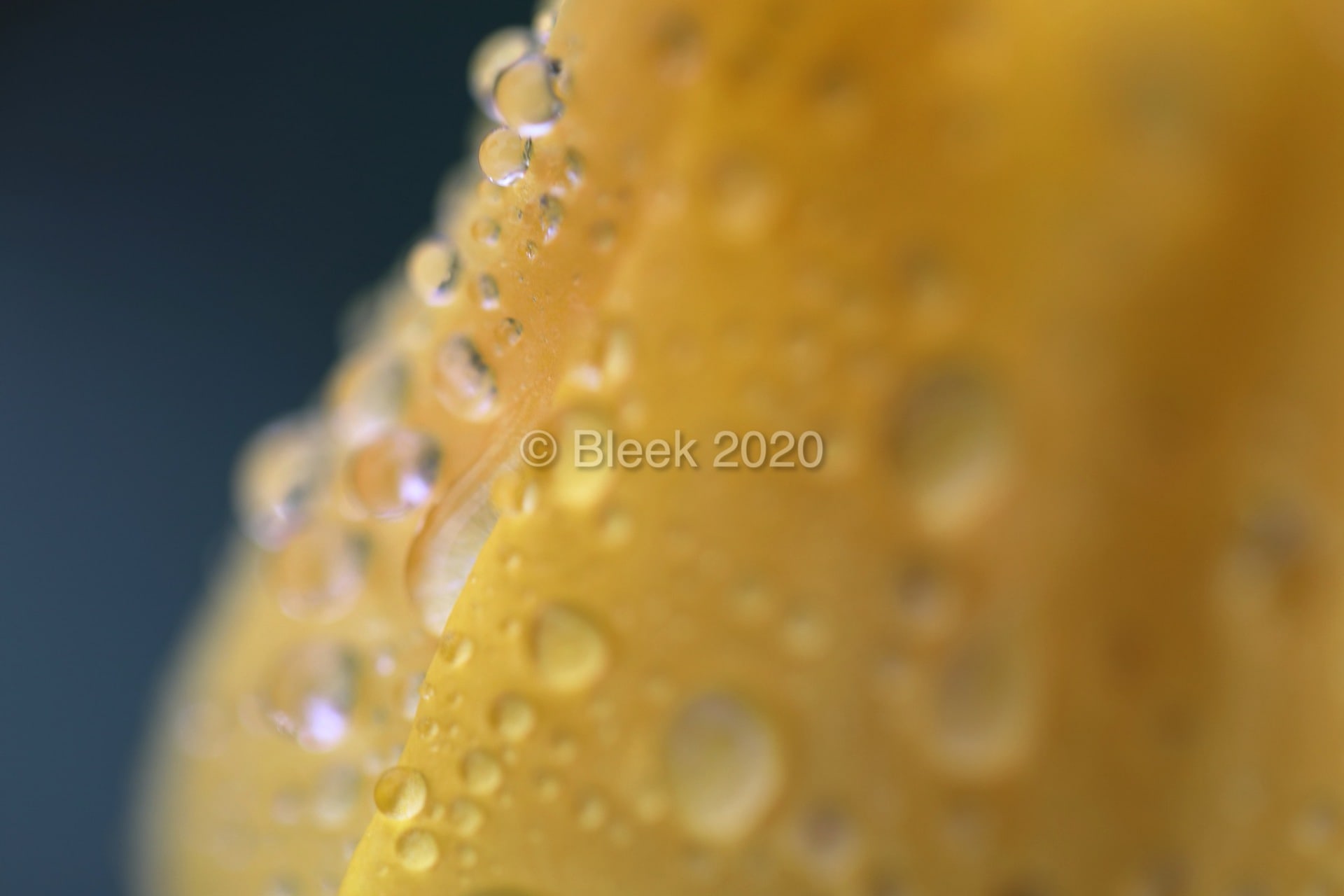 7Y1A5594ns2k_wm_2020