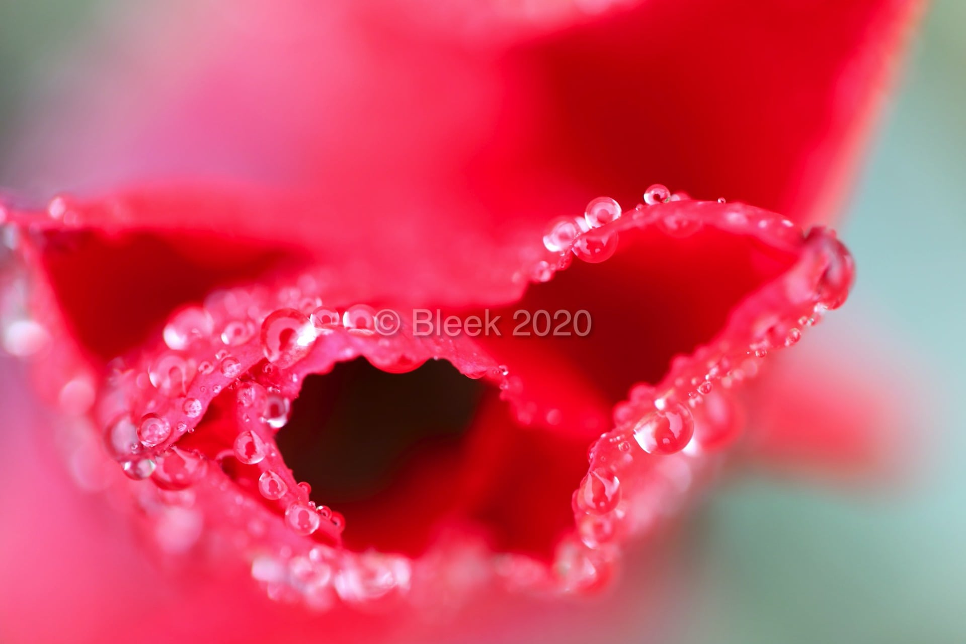 7Y1A5607ns2k_wm_2020