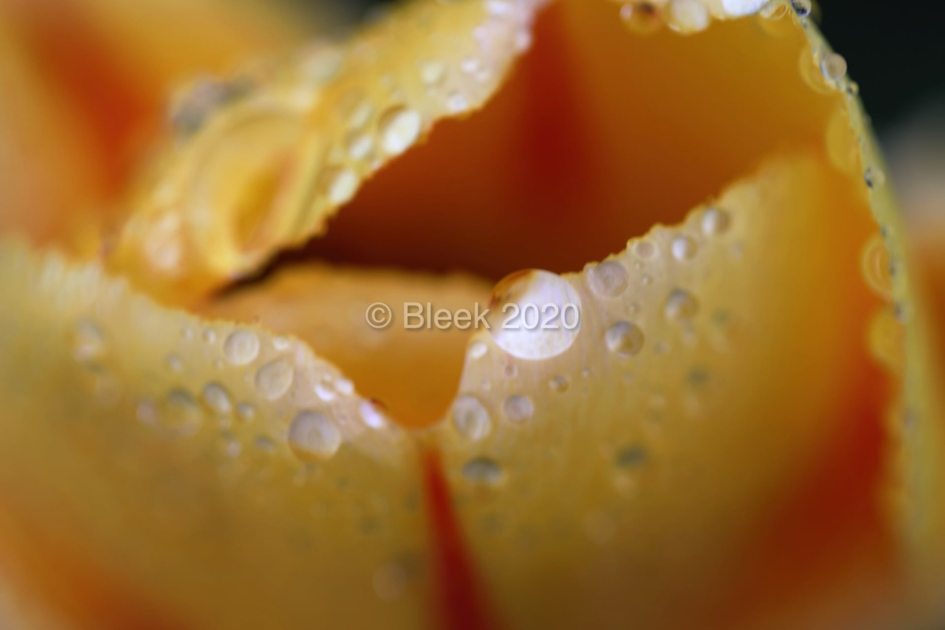 7Y1A5630ns2k_wm_2020