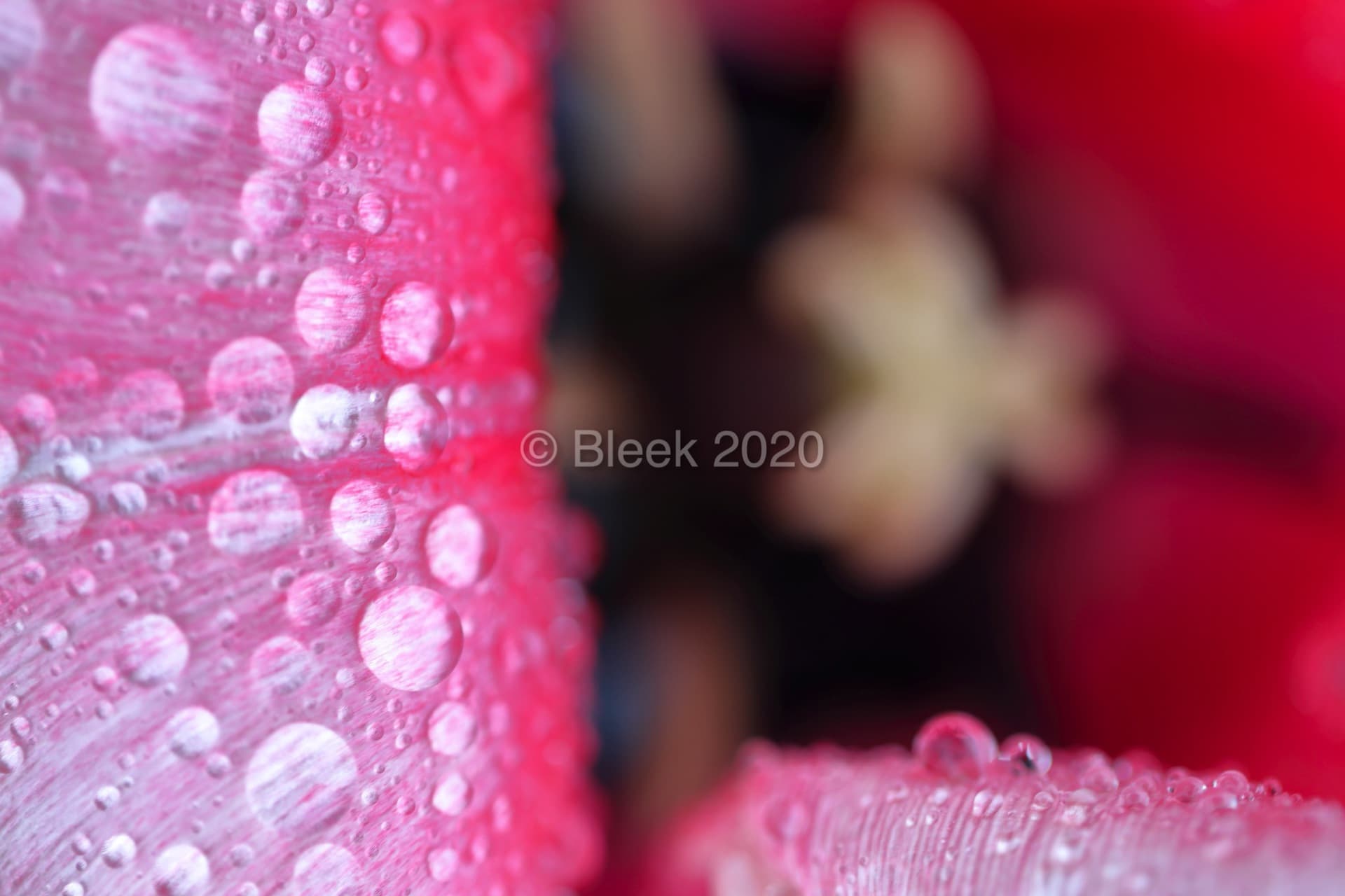 7Y1A5645ns2k_wm_2020